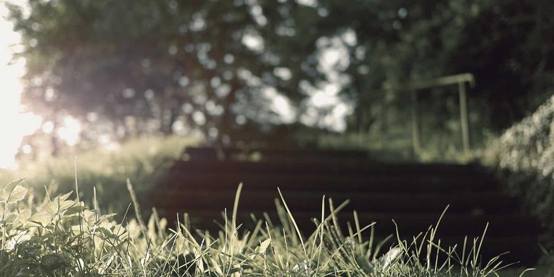 河北通达瑞：京津冀协同发展中的物流引擎与战略支点