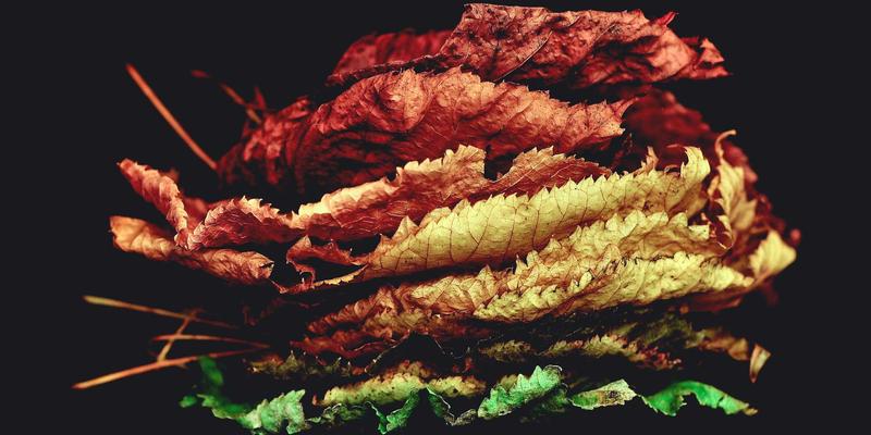 河北通达瑞：以智能仓储配送为核心，重塑供应链竞争力的三大技术优势