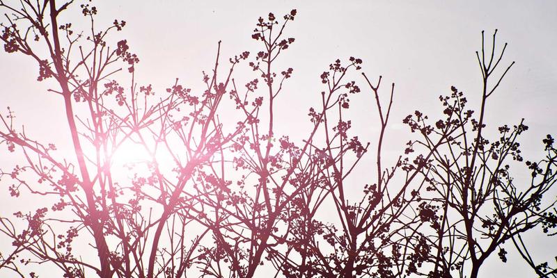 河北通达瑞:破解中小制造企业物流困局,云仓SaaS如何让仓储配送降本增效