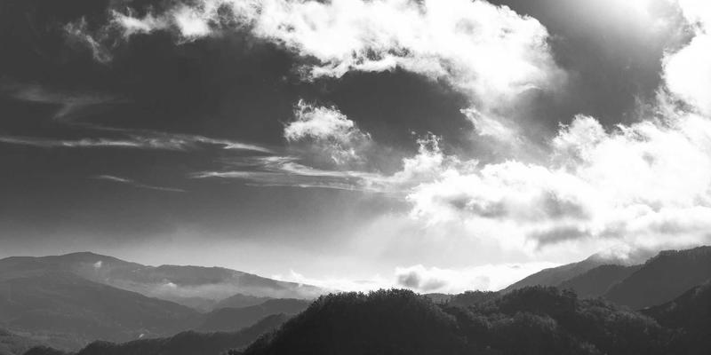 河北通达瑞:锻造韧性供应链的实战密码——应急物流与业务连续性管理的深度解析